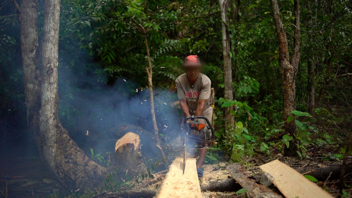 A still from the documentary film, Palawan Lost