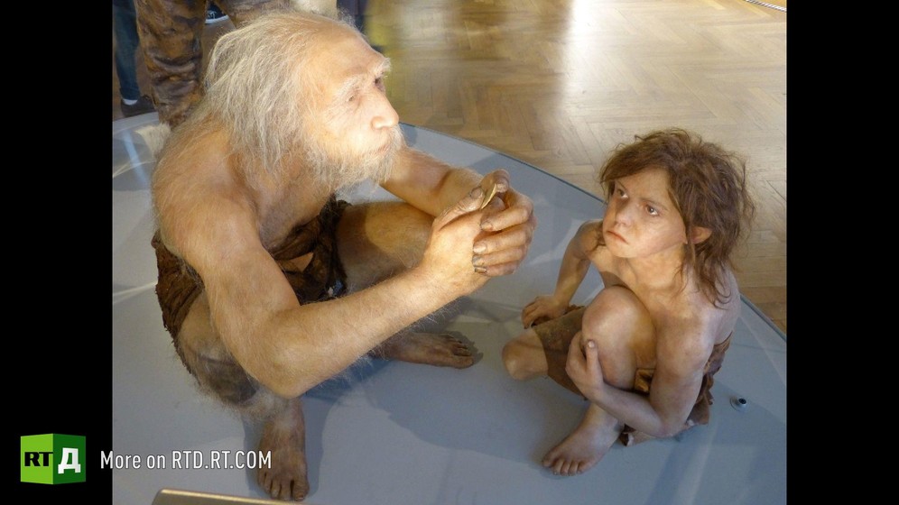 Shelf full of prehistoric skulls, Moscow State University Anthropology Department