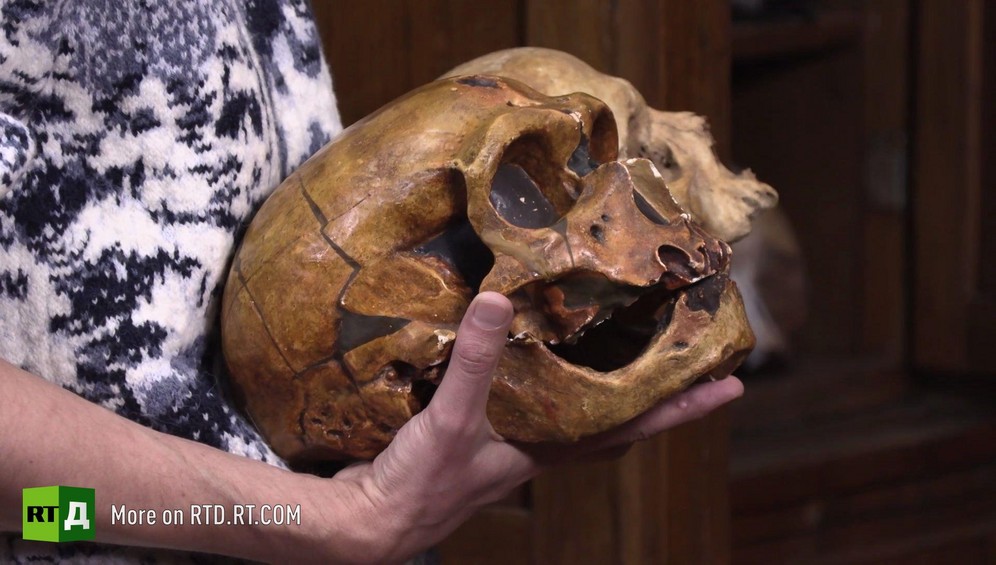 Man's hands holding the skulls of a Neanderthal and a Homo Sapiens, Moscow State University anthropology department.