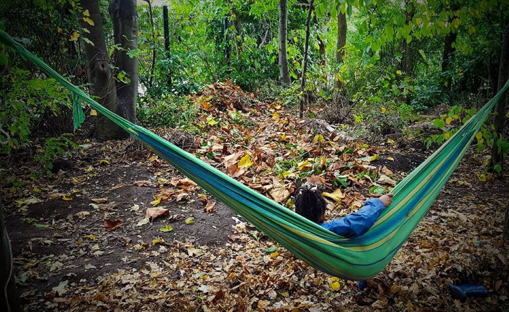 SG Forest School