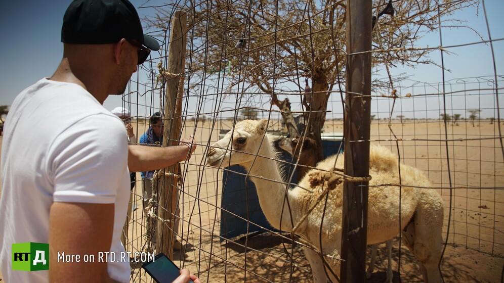 Algeria documentaries