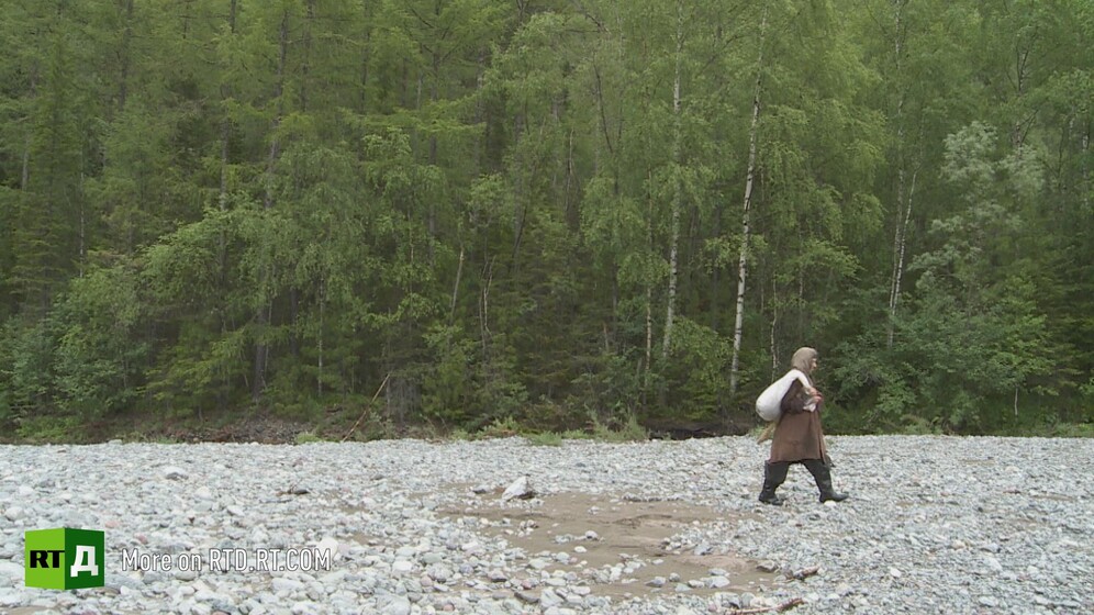 Forest documentaries